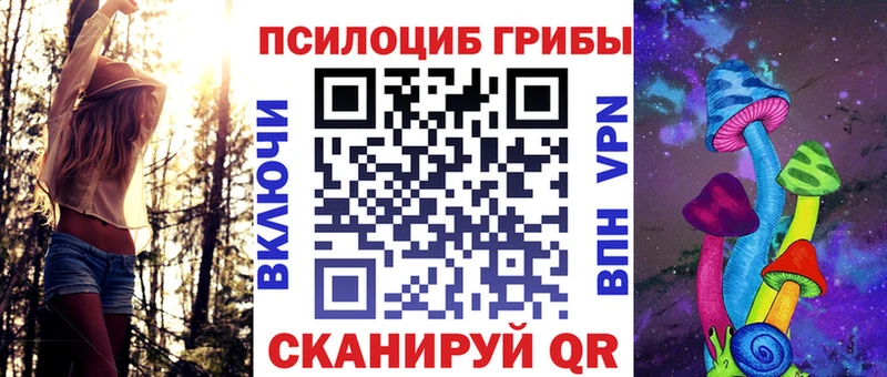 Галлюциногенные грибы Cubensis omg рабочий сайт Болгар